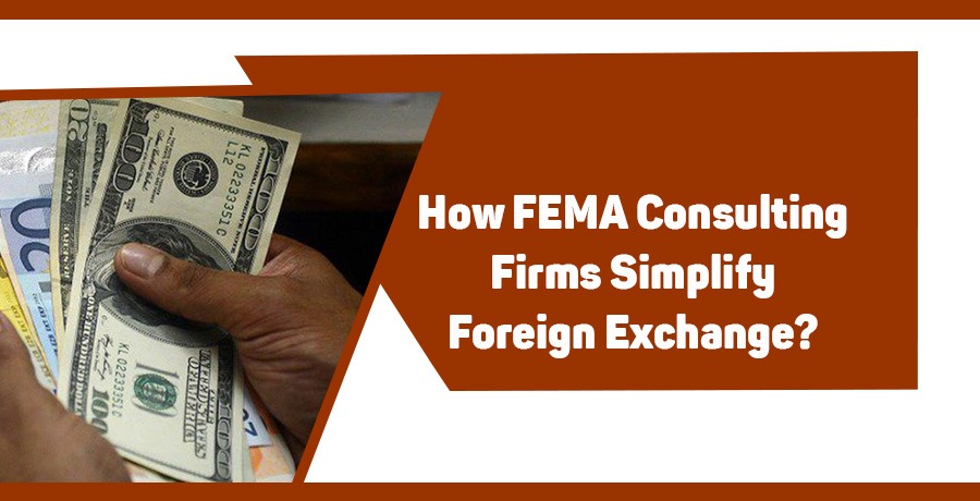 How FEMA Consulting Firms Simplify Foreign Exchange